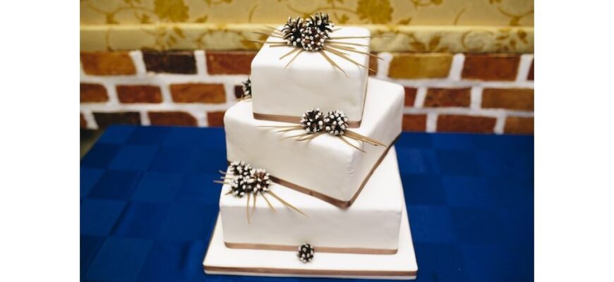 контейнер для торта