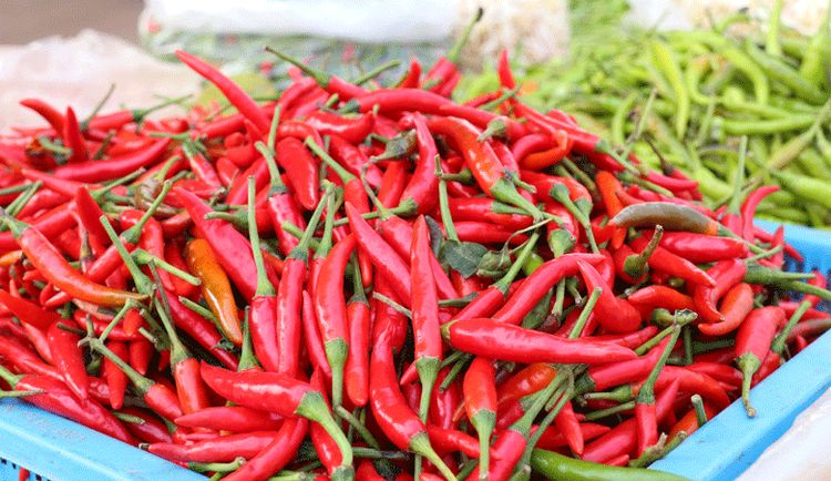 Chilli varieties in China - The Chilli Workshop