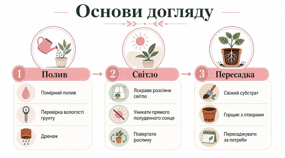 Інфографіка з порадами щодо догляду за кімнатними рослинами, включаючи правила поливу, освітлення та пересадки квітів у горщиках.